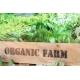 Organic market now worth 2.79 billion
